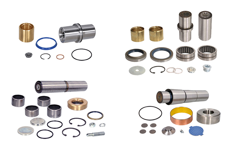 Kit de mangueta/King Pin Set